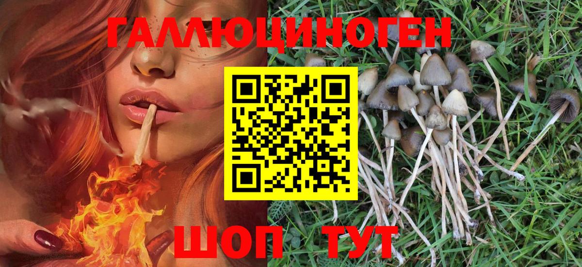 Галлюциногенные грибы MAGIC MUSHROOMS  Вход с VPN  Галлюциногенные грибы мухоморы  Дивногорск 